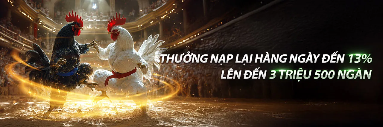 Chương Trình VIP o8