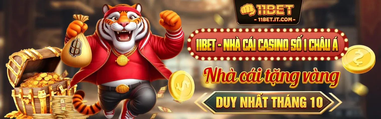 Hình ảnh chính Điều Khoản Dịch Vụ o8